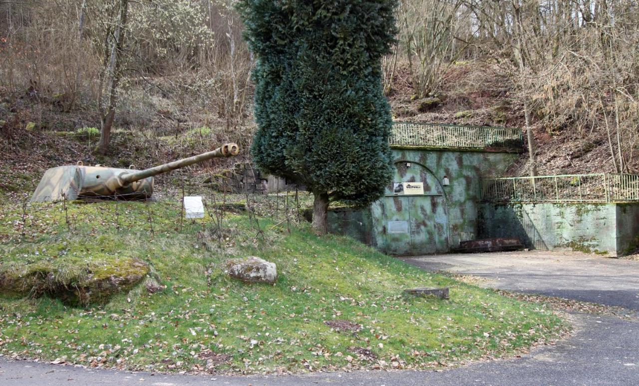 Fewo Pfaelzer Felsenlandschaft Pirmasens Exterior foto